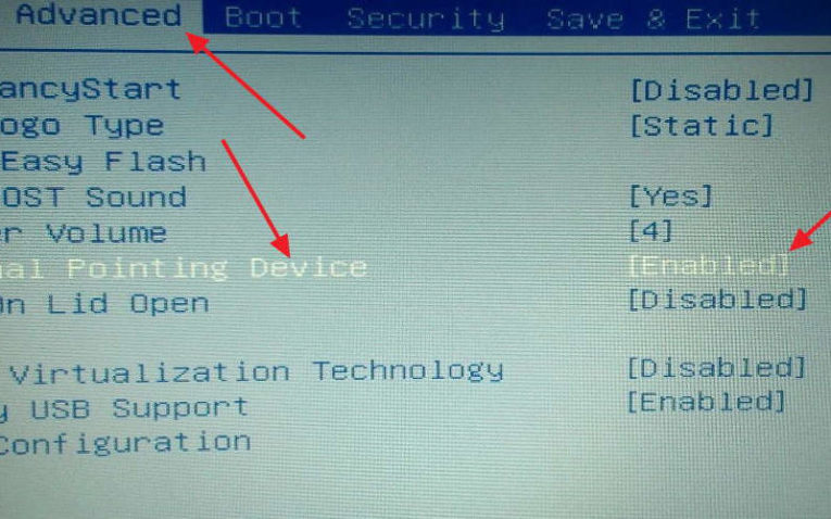 Как отключить тачпад на ноутбуке с помощью BIOS